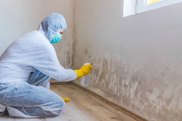 Licensed Hvac And Air Duct Mold Remediation service in Fredericksburg, VA - Mold Remediation HQ